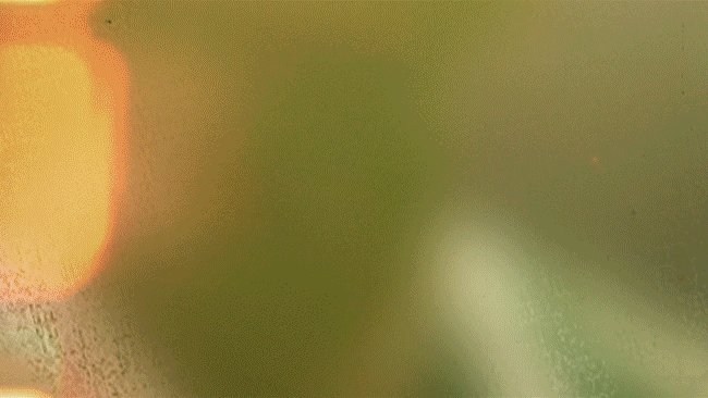 👻 It's GAMEDAY!!  #FearTheDeer https://t.co/EsyAbUTKaa