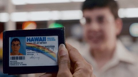 Lemon Fakes Id Reviews