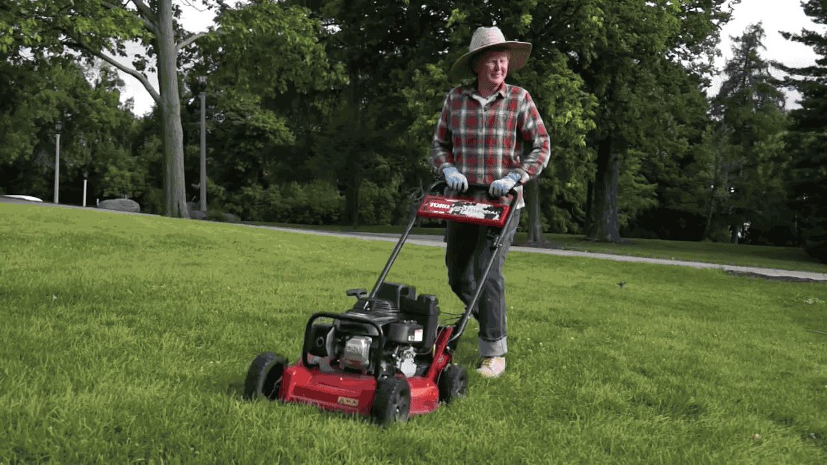 After you finish mowing your lawn, save the grass clipping. 
