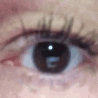 Happy birthday Travis Barker! This blink\s for you. 