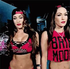 Happy Birthday to The Bella Twins Nikki and Brie   