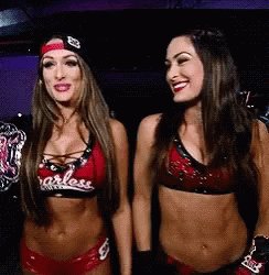  Happy birthday Nikki and brie hope you guys have a great day love the Bella twins xxx 