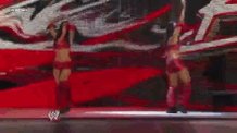Happy Birthday to the Bella Twins.   