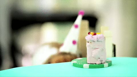  Happy Birthday. You deserve all the cakes, love, hugs and happiness today. 