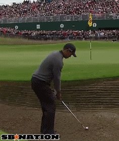 Happy 42nd birthday to Tiger Woods! 