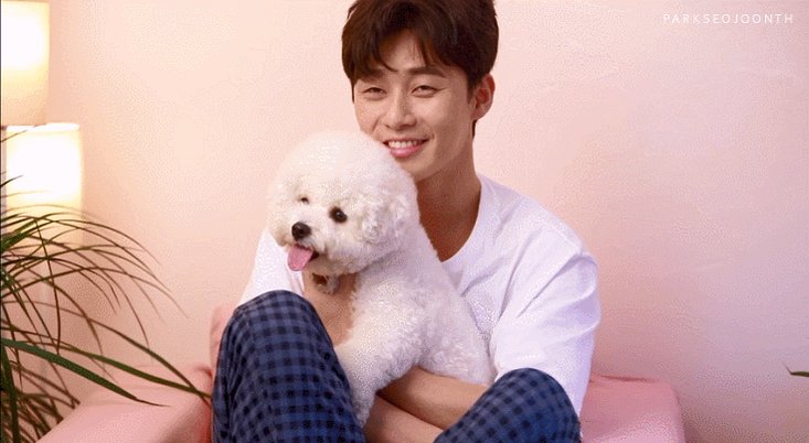 ÐÐ°ÑÑÐ¸Ð½ÐºÐ¸ Ð¿Ð¾ Ð·Ð°Ð¿ÑÐ¾ÑÑ Park seo joon simba