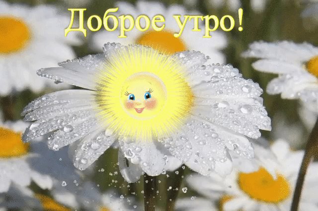 Открытки, картинка с добрым дождливым утром и хорошим настроением