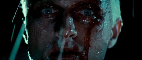 Happy Birthday to Rutger Hauer!  