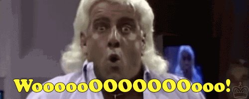 Happy 69th birthday to Ric Flair 