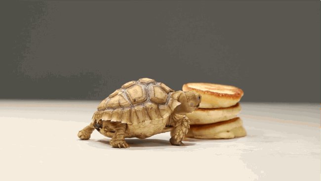 Did someone say #NationalPancakeDay ? ???♂????♂????♂? https://t.co/38vrlwaIWn