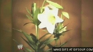 Happy Birthday to Val Venis 