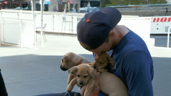 We only know one way to celebrate #NationalPuppyDay and it's with this gif.  Goalies & puppies 💛 https://t.co/uhUz7VyFED