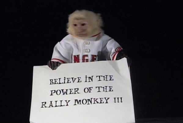 rally monkey gif