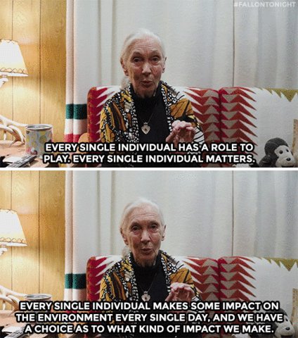 Happy Birthday Jane Goodall! Thank you for all of your work and advocacy. 