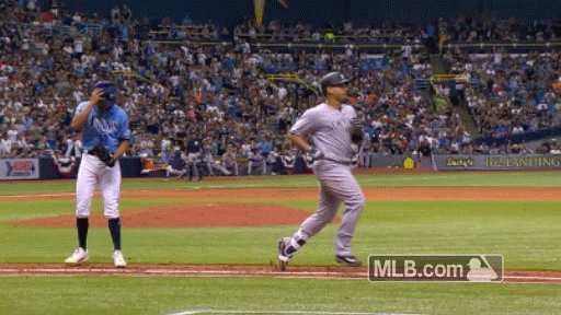 Super Cute. DJ Kitty from the Tampa Bay Rays. : r/aww