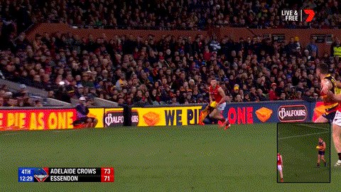 @AFL's photo on #AFLCrowsDons