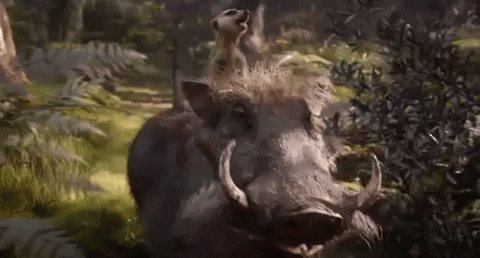#LionKing is stunning. @Jon_Favreau has created something so truly breathtaking & photo realistic, Iβm still not convinced real animals werenβt trained to speak & sing. Cast is brilliant but @billyeichner & @Sethrogen are truly next level. That 1 moment near the end ruined me.