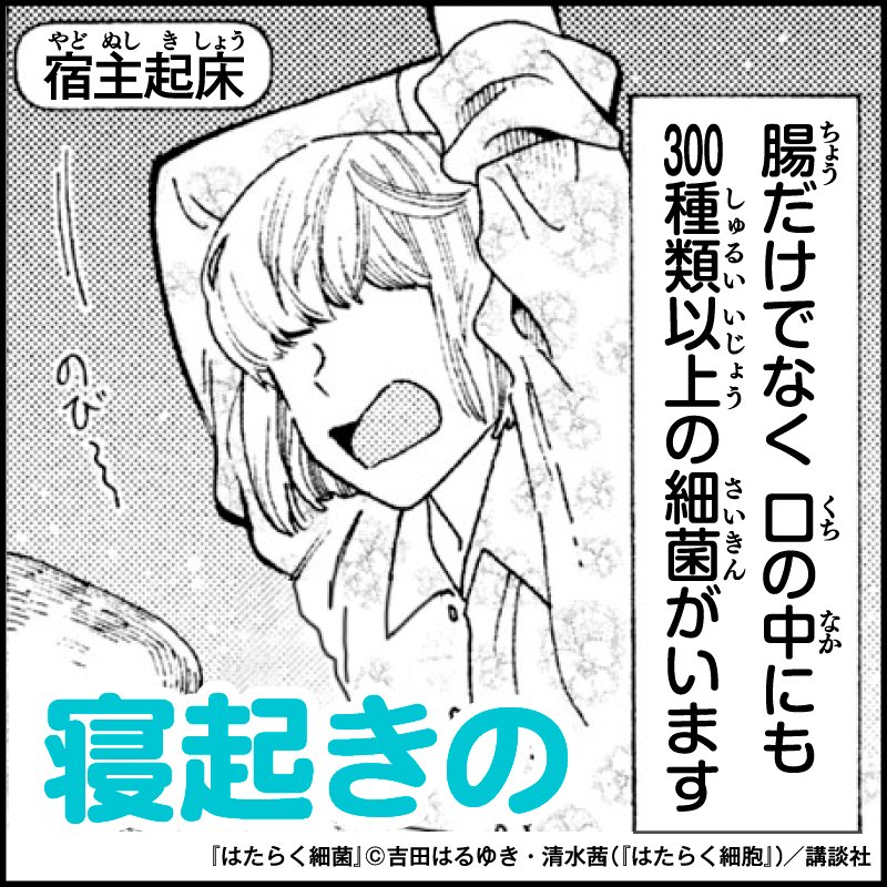 はたらく細菌 Twitter Search Twitter はたらく細菌 Twitter Search Twitter