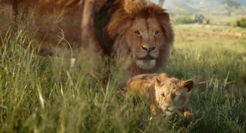 iTunes (@iTunes) on Twitter photo 2019-07-10 17:22:47 @TwitterMusic @Disney @TwitterMovies #Mufasa is giving a pouncing lesson. @TwitterMusic @Disney @TwitterMovies #Mufasa is giving a pouncing lesson.