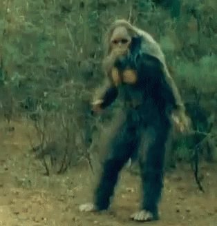 "I saw Bigfoot!" #AndThenIRolledMyEyes