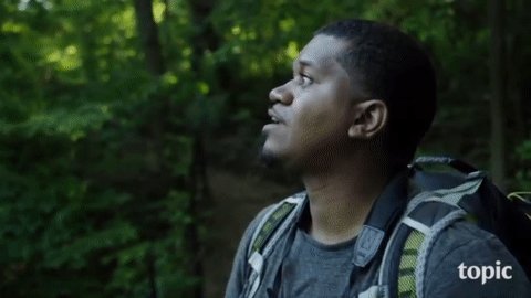 I made this gif from @JasonWardNY's Birds of North America and it is such a birdwatching mood.