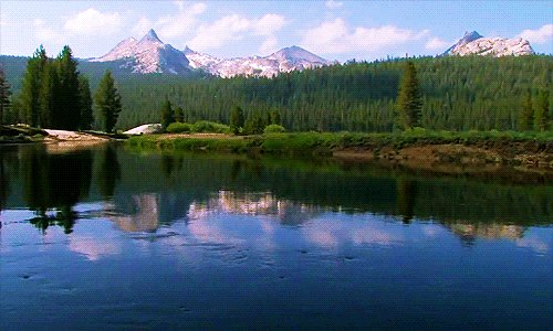 Writing with a bit of heart and a lot of soul!
Check out @LeeMTipton's website here:
http://leemtipton.blogspot.com
#nature #stories #reading #writing #WolfPackAuthors