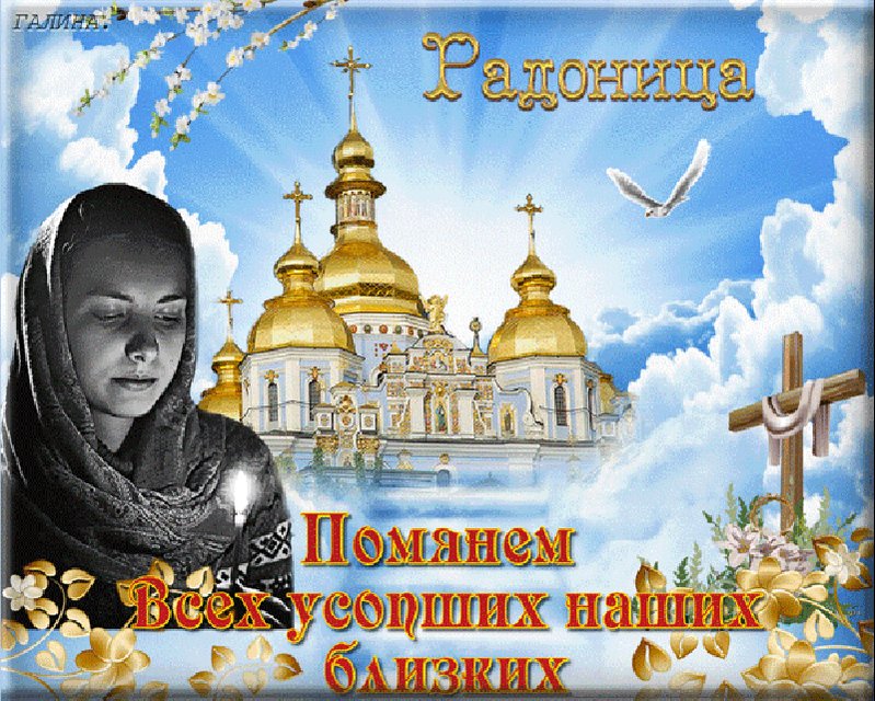 Картинки с днем поминовения усопших, плюшевых