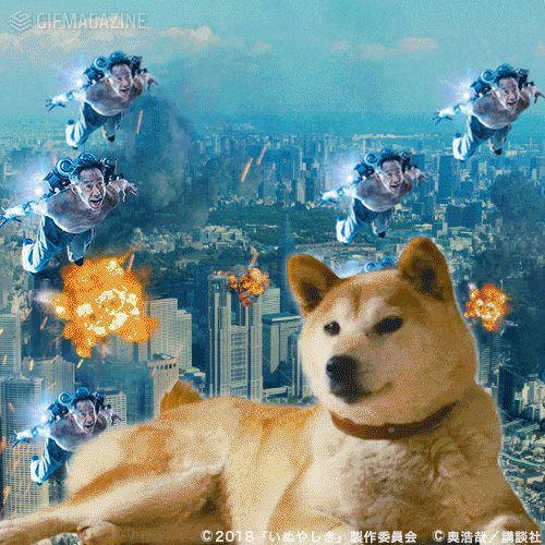 Twitter 上的 映画 いぬやしき 公式 犬屋敷さん大量出現中 いったい何人いるのでしょうか はな子が邪魔をしてくる いぬやしき Inuyashiki 4月日公開 木梨憲武 T Co Jktgtlivoa Twitter