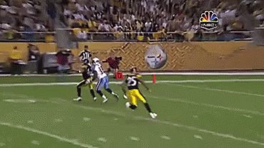 Happy birthday to the troy polamalu 