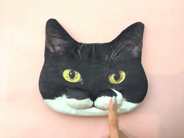 猫の「ω」を完全再現！触ってみたいけどさわれない猫の口元がずっとさわれるw