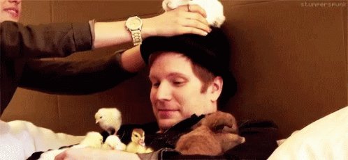 Happy birthday to patrick stump ^~^ <3 