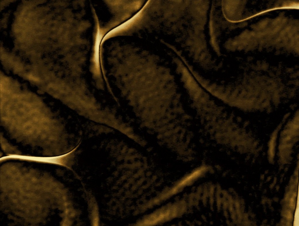 UDResearch photo