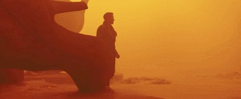Happy birthday, Roger Deakins 