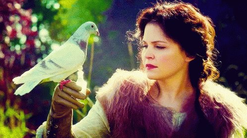 Happy Birthday Ginnifer Goodwin have a beautiful day!        