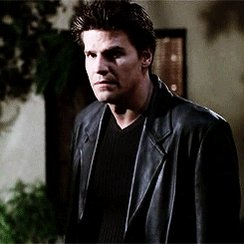 Happy Birthday David Boreanaz ! 