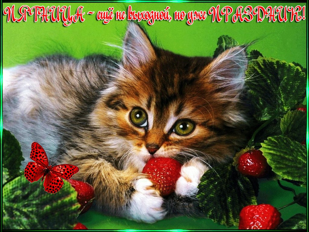 Красивые открытки порадовать