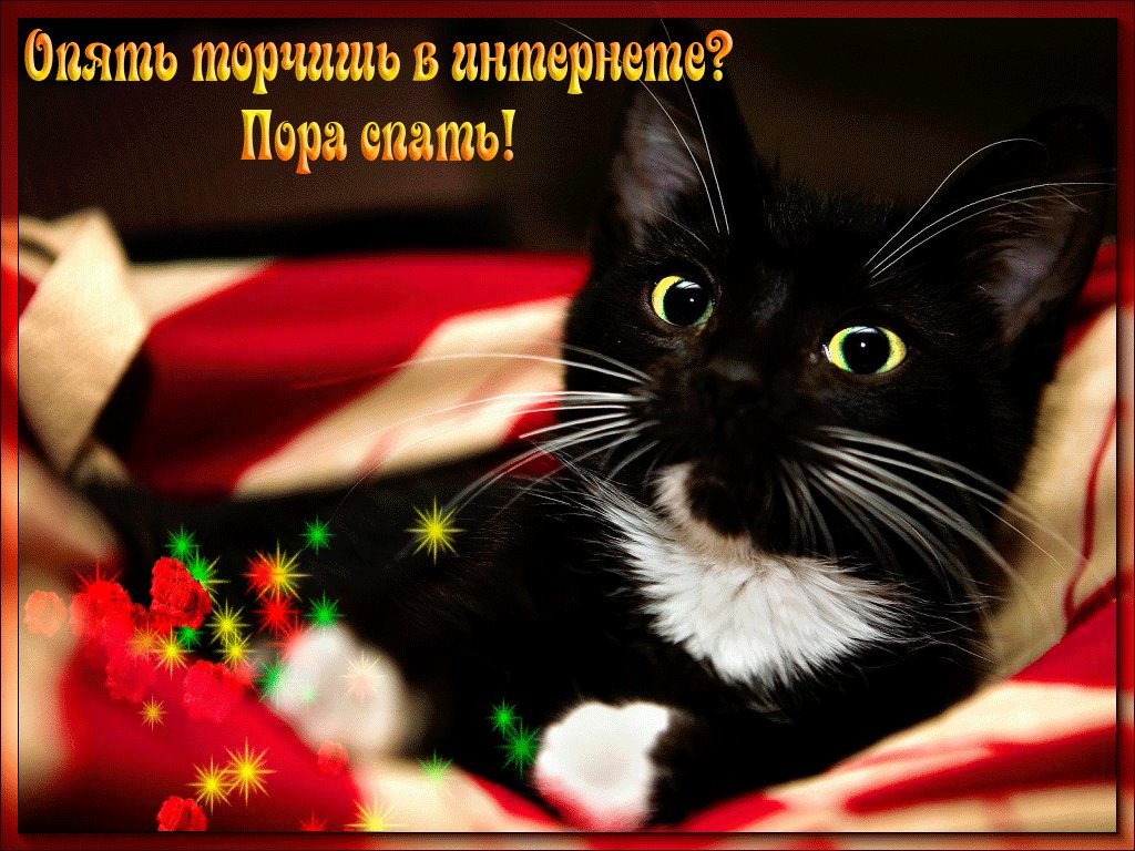 Белая киска принимает черного