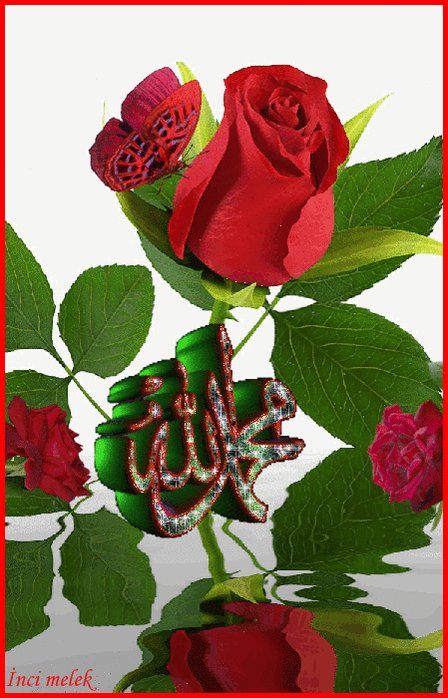 endah (@endahsang) on Twitter photo 2018-09-26 03:30:16 @Sangry_89 @IShahzad2011 @RTE_TLBS4 @HajiAlyasas939 @mohmmed14347 @18ouicher18 @_theonlyabdulla @mawarbe08 @HAZELTAZZZ @blackmerz101 @zuk60 @sikandarmirza10 @Rysara89 @c2a5d7f4e2eb4a0 @PASUMNOSUNNI @shamaelmughal @MrNaassir @JalalomarOmar @daeng_matahati @RTwit_1 @Essam1Mohamed18 @HajialyasA @Hq5DGFsuQLcm0UQ @ali123456789900 @amarali1979 @AngeloElaine @As939Hlyas @asadshakeel_9 @EmbunPa76802127 @happymoments4u @iSMZeeshan @noorfatima100 @sethi_sheikh @tewtir_ @NaeemkhanMa555 @OmMohamed96 @zdIBz7RPdobUhbS @chrifchrifa @alaa33544655 @anwarhussain654 @AmjadPe33853707 @abeer86420248 @jamilhussan @landauuupi @Shafiqu13335476 @hassanaljaishey @HKamella @ChefYousuf @hussain786_k @Khadija_J17 ♥لآ اِلَهَ اِلّا اللّهُ مُحَمَّدٌ رَسُوُل اللّهِ ﷺ♥ ♥لآ اِلَهَ اِلّا اللّهُ مُحَمَّدٌ رَسُوُل اللّهِ ﷺ♥ ♥لآ اِلَهَ اِلّا اللّهُ مُحَمَّدٌ رَسُوُل اللّهِ ﷺ♥ #RamadanKareem @Sangry_89 @IShahzad2011 @RTE_TLBS4 @HajiAlyasas939 @mohmmed14347 @18ouicher18 @_theonlyabdulla @mawarbe08 @HAZELTAZZZ @blackmerz101 @zuk60 @sikandarmirza10 @Rysara89 @c2a5d7f4e2eb4a0 @PASUMNOSUNNI @shamaelmughal @MrNaassir @JalalomarOmar @daeng_matahati @RTwit_1 @Essam1Mohamed18 @HajialyasA @Hq5DGFsuQLcm0UQ @ali123456789900 @amarali1979 @AngeloElaine @As939Hlyas @asadshakeel_9 @EmbunPa76802127 @happymoments4u @iSMZeeshan @noorfatima100 @sethi_sheikh @tewtir_ @NaeemkhanMa555 @OmMohamed96 @zdIBz7RPdobUhbS @chrifchrifa @alaa33544655 @anwarhussain654 @AmjadPe33853707 @abeer86420248 @jamilhussan @landauuupi @Shafiqu13335476 @hassanaljaishey @HKamella @ChefYousuf @hussain786_k @Khadija_J17 ♥لآ اِلَهَ اِلّا اللّهُ مُحَمَّدٌ رَسُوُل اللّهِ ﷺ♥ ♥لآ اِلَهَ اِلّا اللّهُ مُحَمَّدٌ رَسُوُل اللّهِ ﷺ♥ ♥لآ اِلَهَ اِلّا اللّهُ مُحَمَّدٌ رَسُوُل اللّهِ ﷺ♥ #RamadanKareem