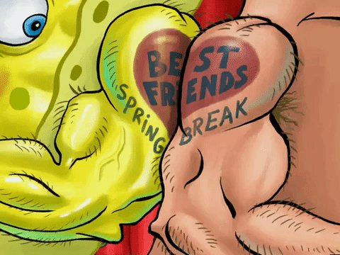 Best Friends Forever  rBikiniBottomTwitter  SpongeBob SquarePants   Know Your Meme