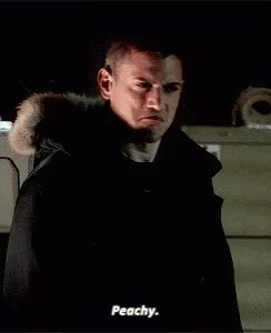 Today is Wentworth Miller\s birthday! Happy birthday Captain Cold! 