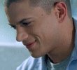 Happy birthday, Wentworth Miller!        