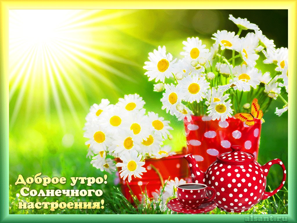 Доброе утро летнее открытка, утенок спокойной