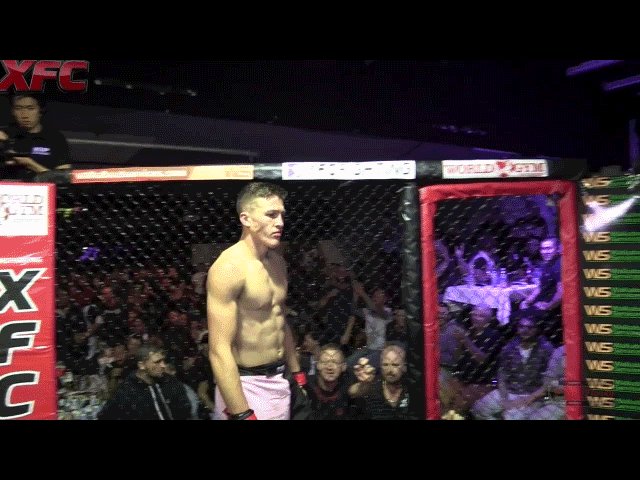 LORD HONKY HUMUNGUS (@Mr_Honky) on Twitter photo 2018-06-23 10:47:45 #UFCSingapore #UFCSingapore