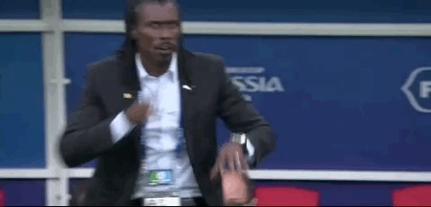 Sabung Ayam Online Aksi Kocak Pelatih Senegal di Piala Dunia  Sabung Ayam Online Aksi Kocak Pelatih Senegal di Piala Dunia 2018 Gemparkan Media Sosial