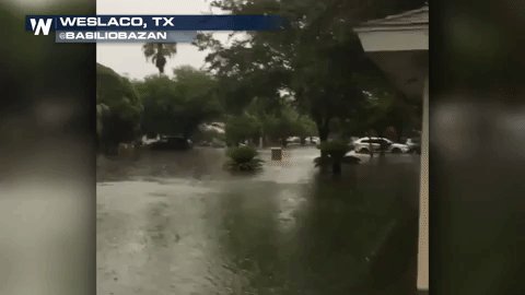 WeatherNation photo