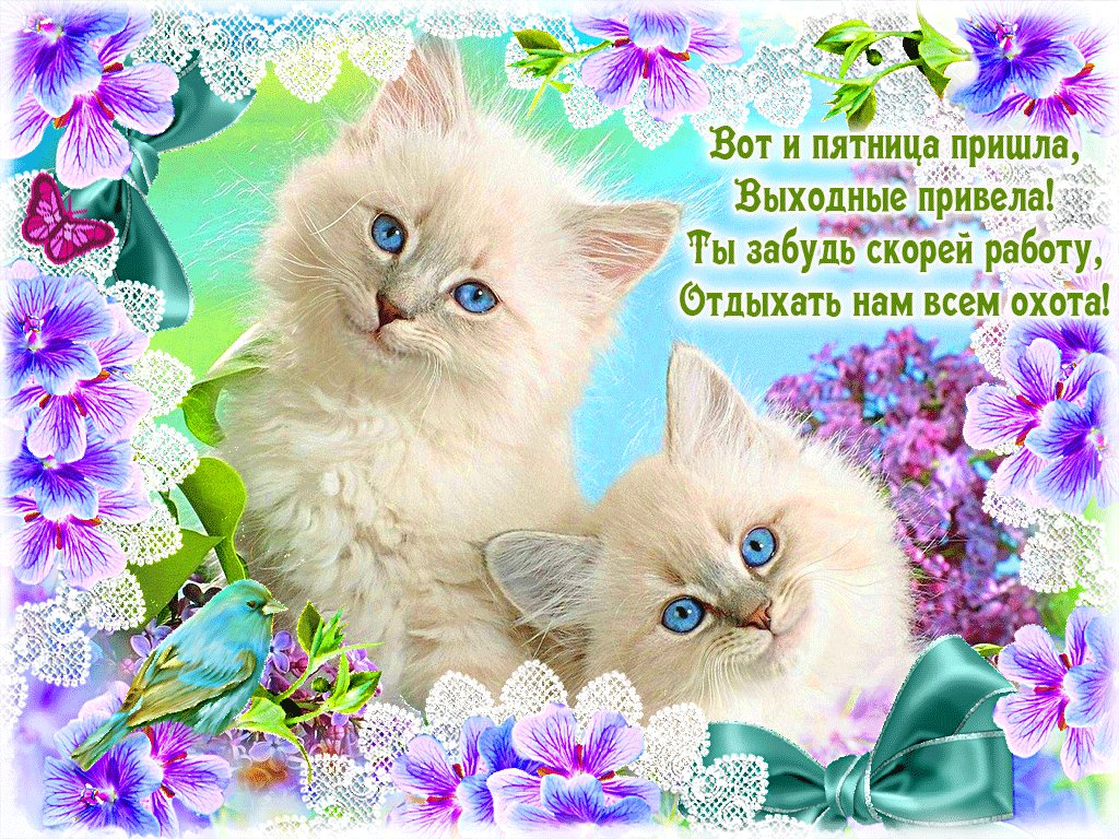 Ну вот и утро настало открытки, военно морским флотом