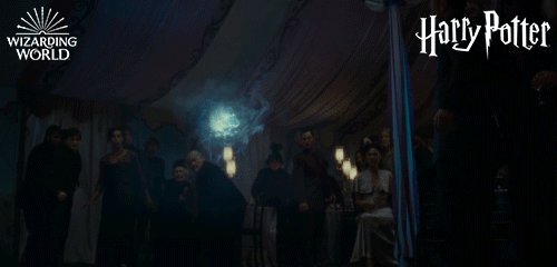 キングズリー シャックルボルト 寮 強い他 ハリーポッター ポッターポータル Potterportal