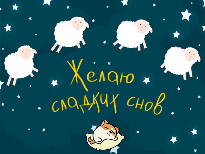 Сладких снов смешные картинки с овечками