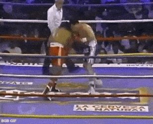 Happy Birthday to El Gran Campeón Mexicano Julio Cesar Chavez.   