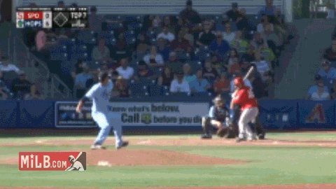 A ROSE IS A ROSE IS A ... WHOA, DID YOU SEE THAT CATCH?
@Dbacks prospect Joey Rose (@The_Rose_Petals) dives into the crowd to snare a foul pop for @HillsboroHops.
WATCH: https://atmilb.com/2Ng3agX